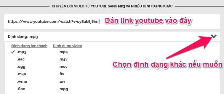 Tải mp3 từ Youtube nhanh bằng Onlinevideoconverter