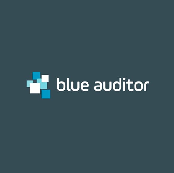 BlueAuditor