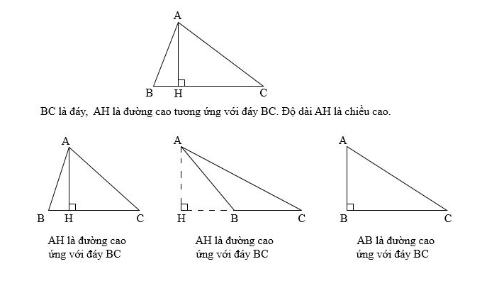 Cách xác định đáy và đường cao của hình tam giác