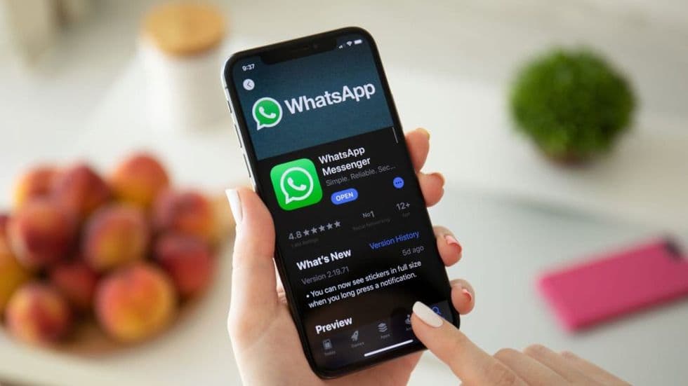 WhatsApp là gì? Những điều thú vị về WhatsApp - Ảnh 7