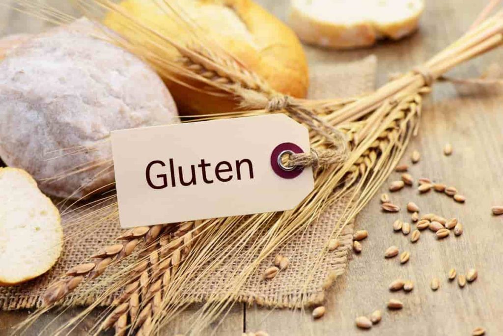 Giải đáp gluten là gì?