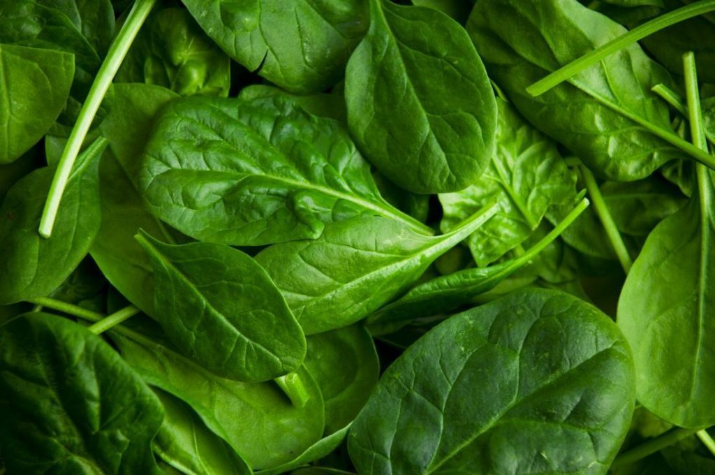 Rau spinach là rau gì?