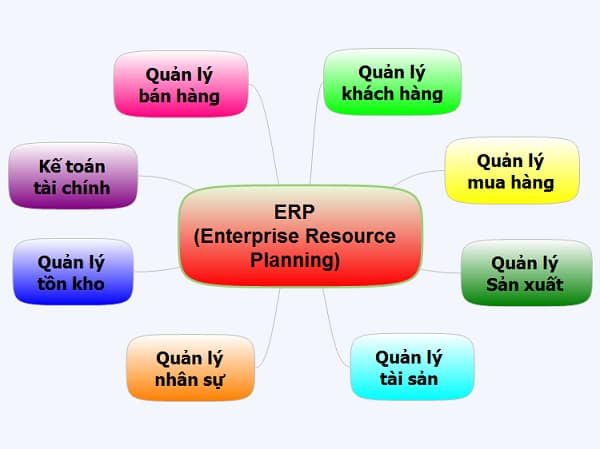 Erp là gì? Vai trò của erp trong điều hành doanh nghiệp