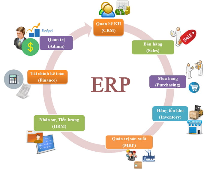 Erp là gì? Vai trò của erp trong điều hành doanh nghiệp