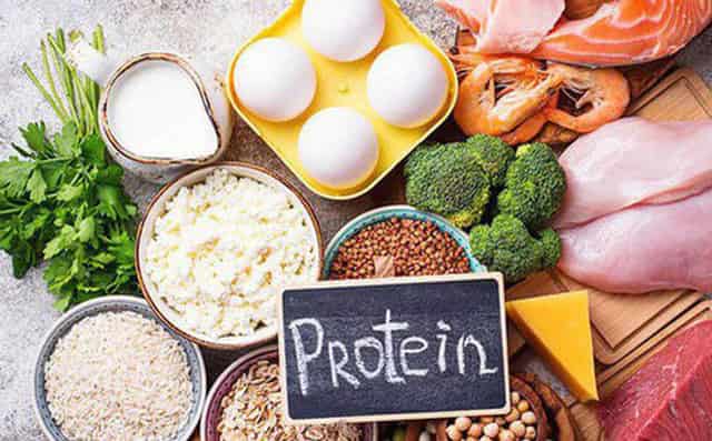 Protein là gì