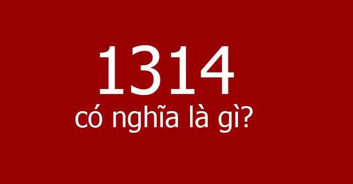1314 là gì
